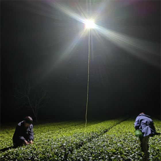 Water area emergency lighting unmanned aerial vehicle system